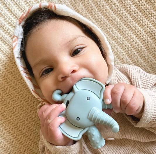Ritzy Molar Teether