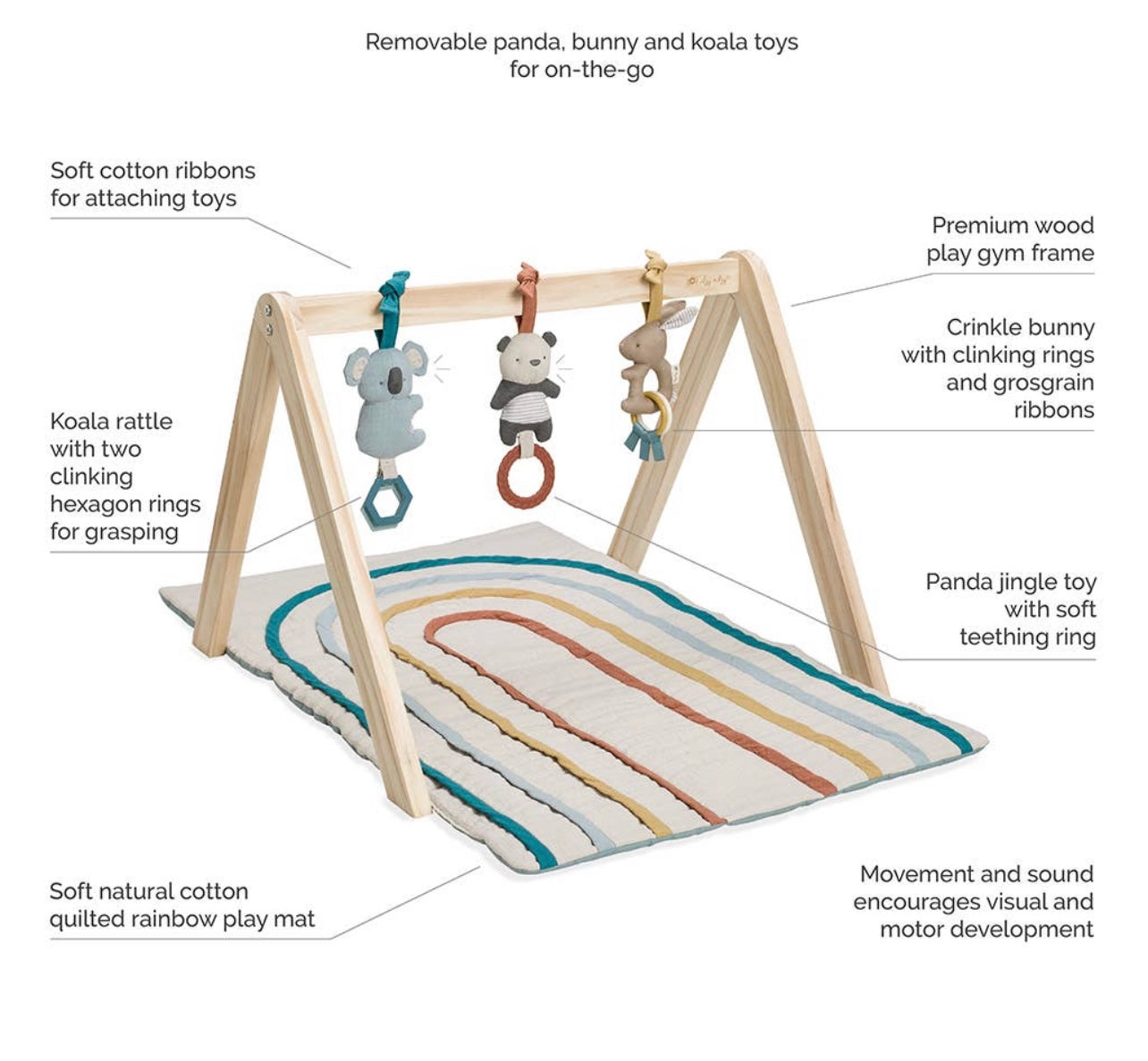 NEW Wooden Activity Gym with Toys