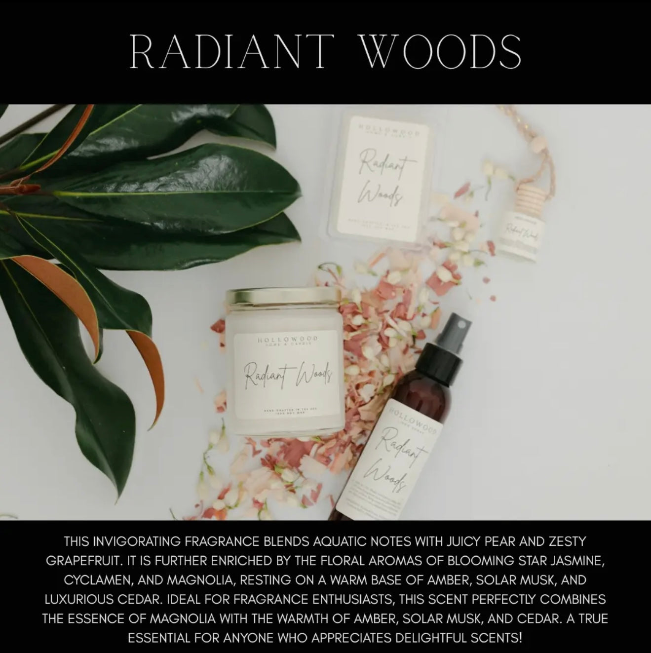 Summer Scent Car Diffusers