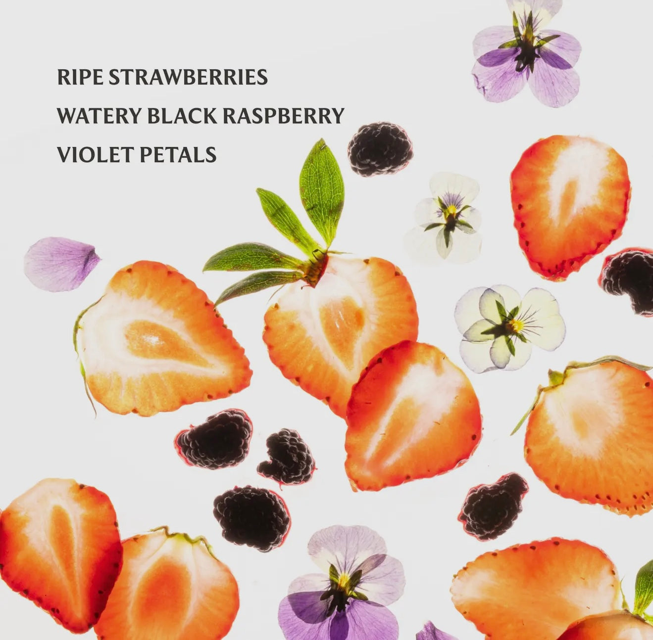 Touchland Power Mist Hand Sanitizer