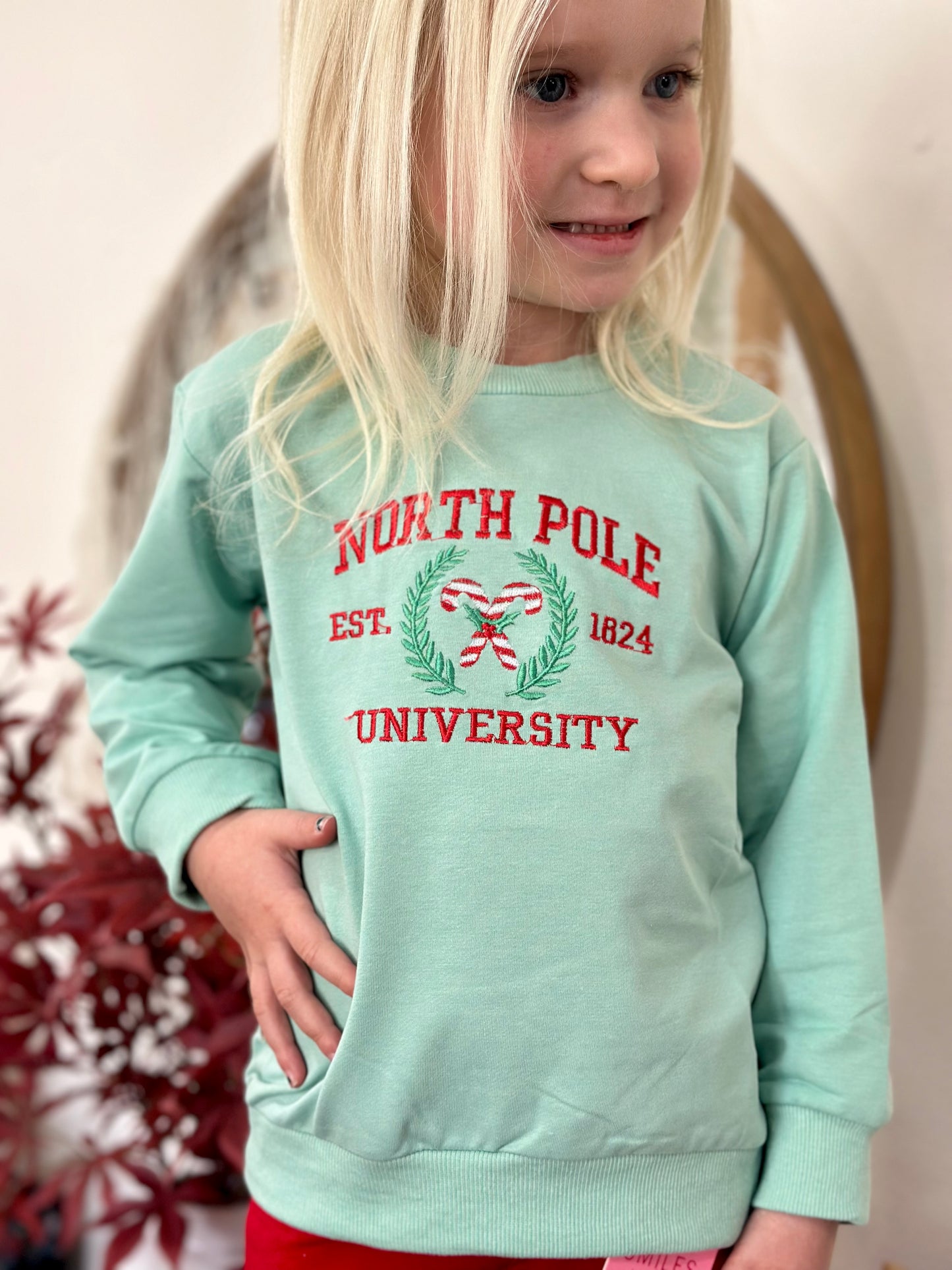 Christmas Embroidered Pullover