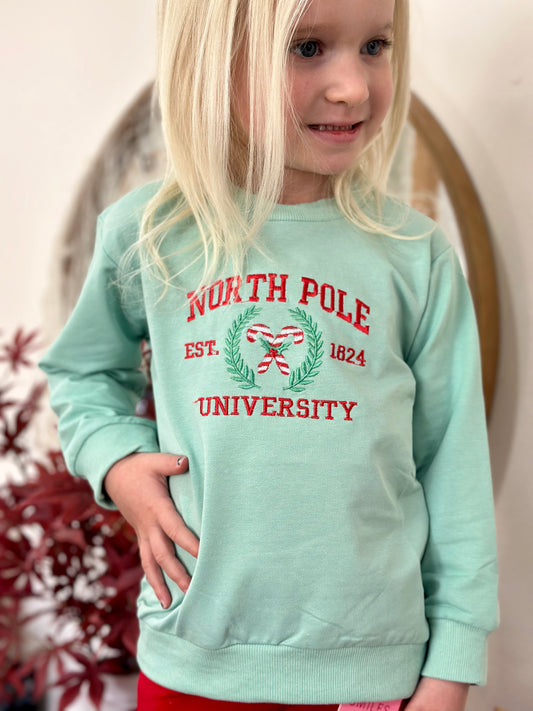 Christmas Embroidered Pullover