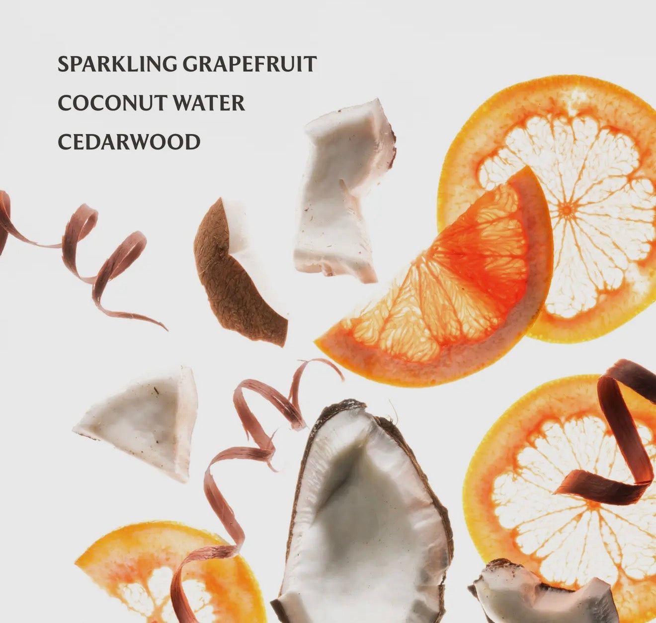 Touchland Power Mist Hand Sanitizer