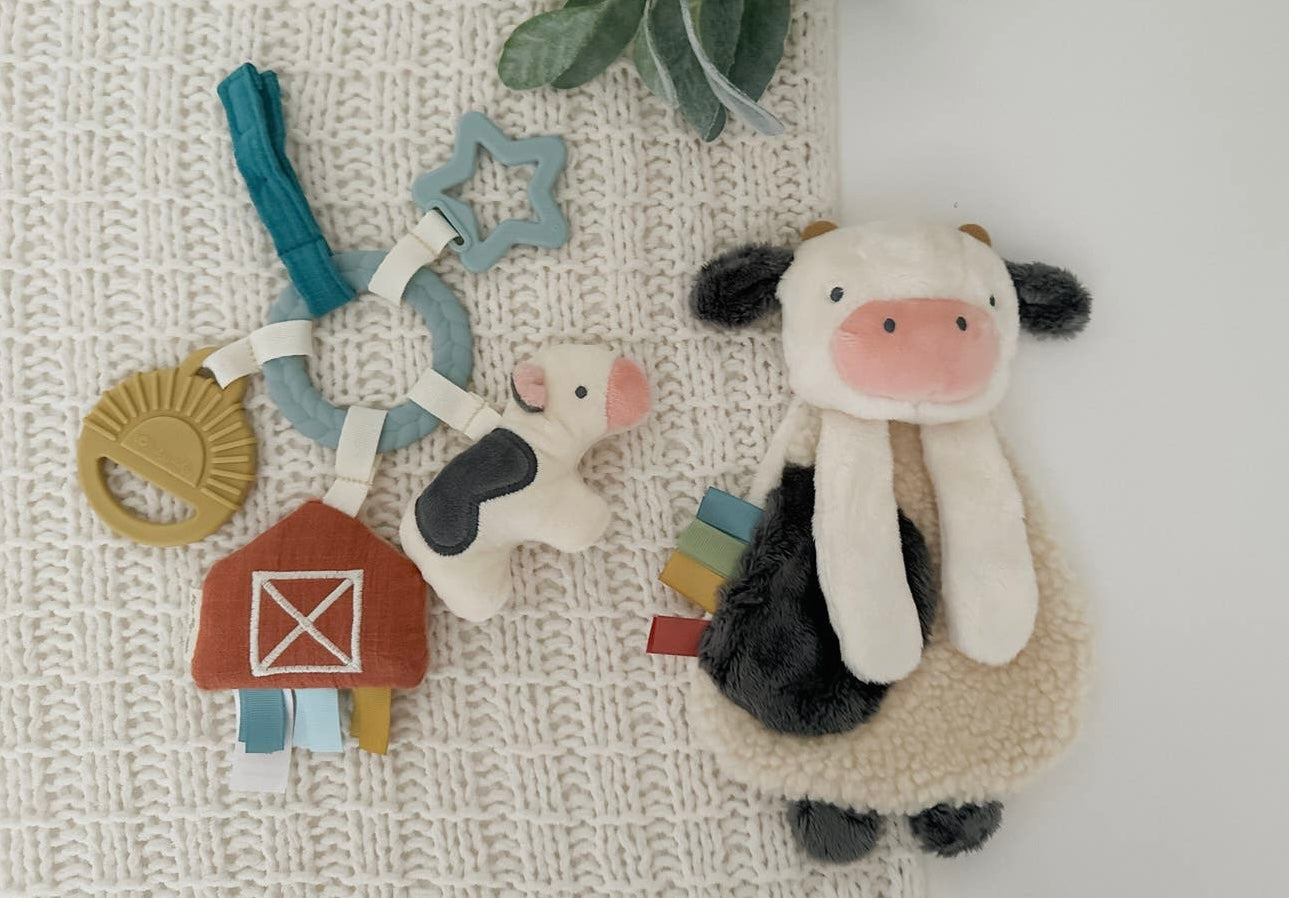 Busy Farm Gift Set
