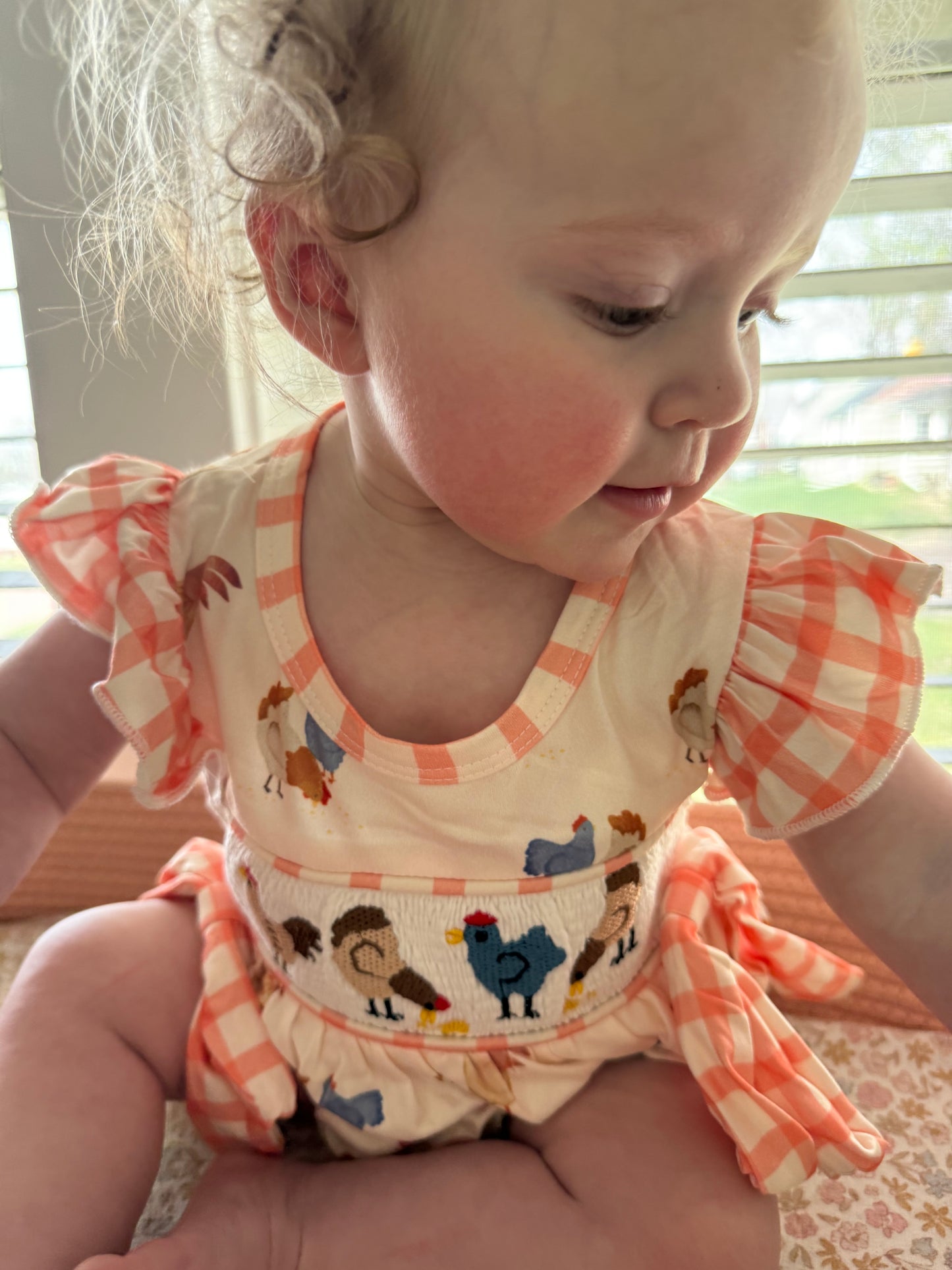 Farmer’s Chickens Romper