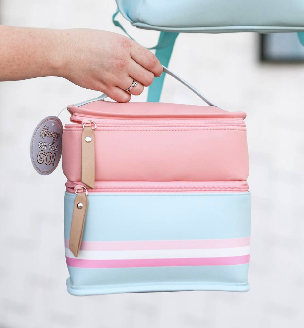 Lunchbox/Travel Tote