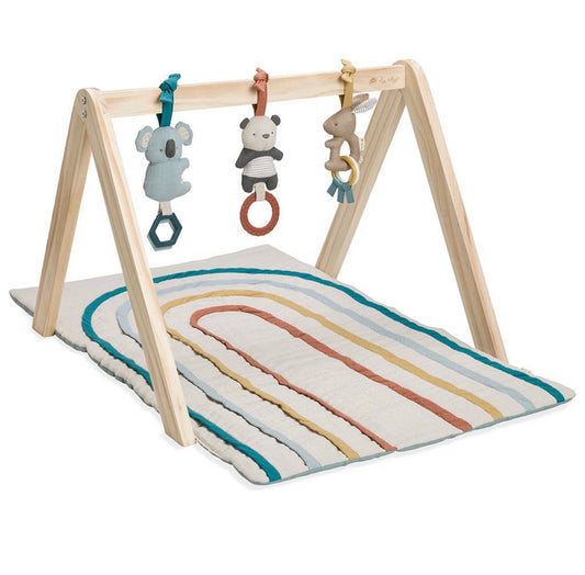 NEW Wooden Activity Gym with Toys