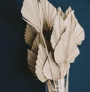 Palm Leaf Natural Spear