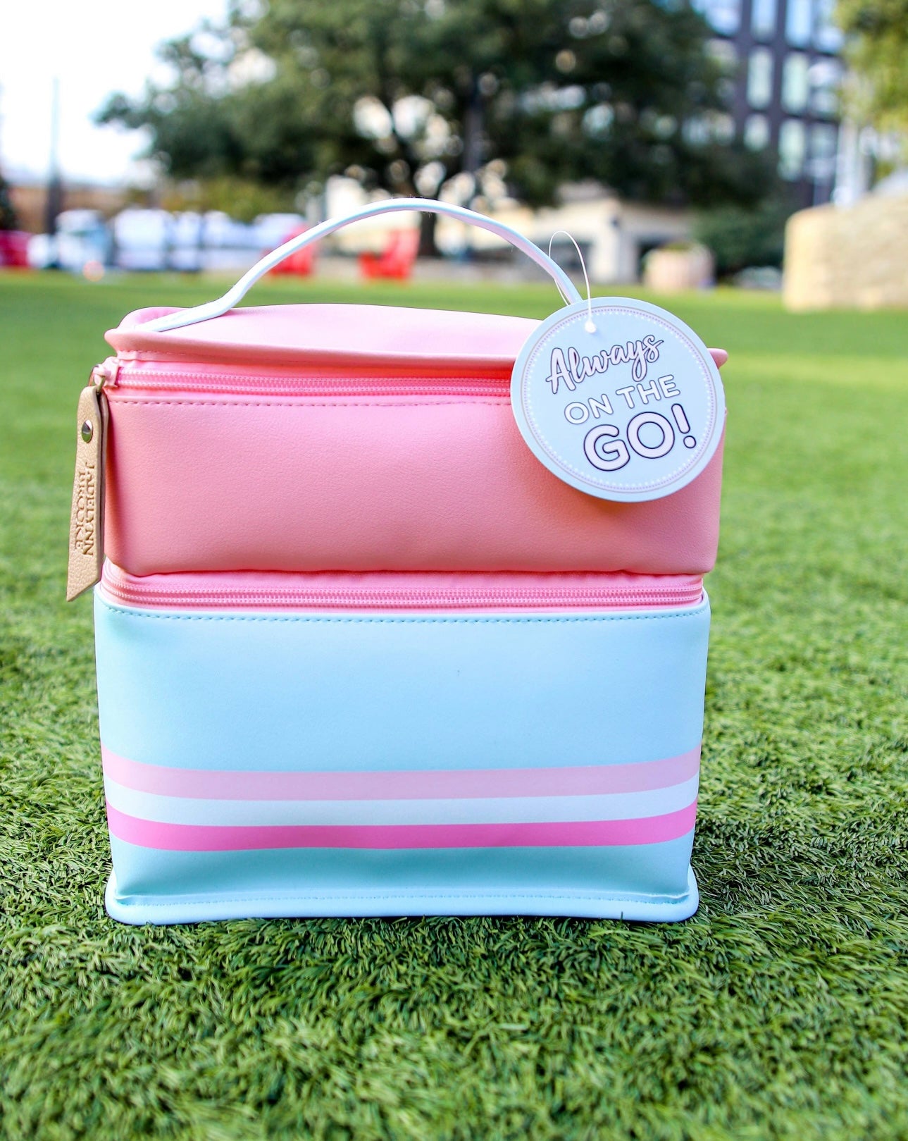 Lunchbox/Travel Tote