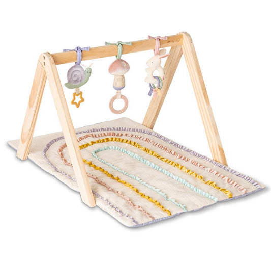 *NEW* Pastel Wooden Activity Gym