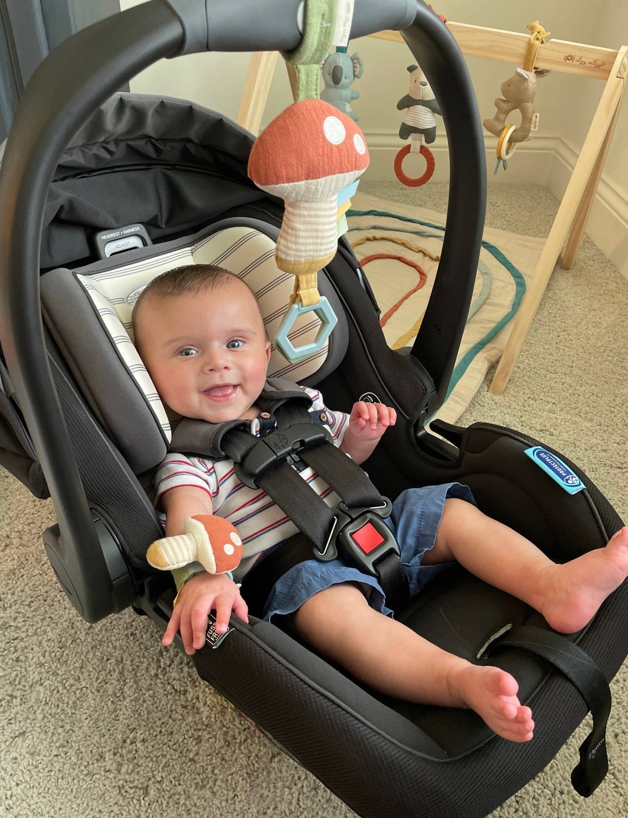*NEW* Ritzy Wrist Rattle