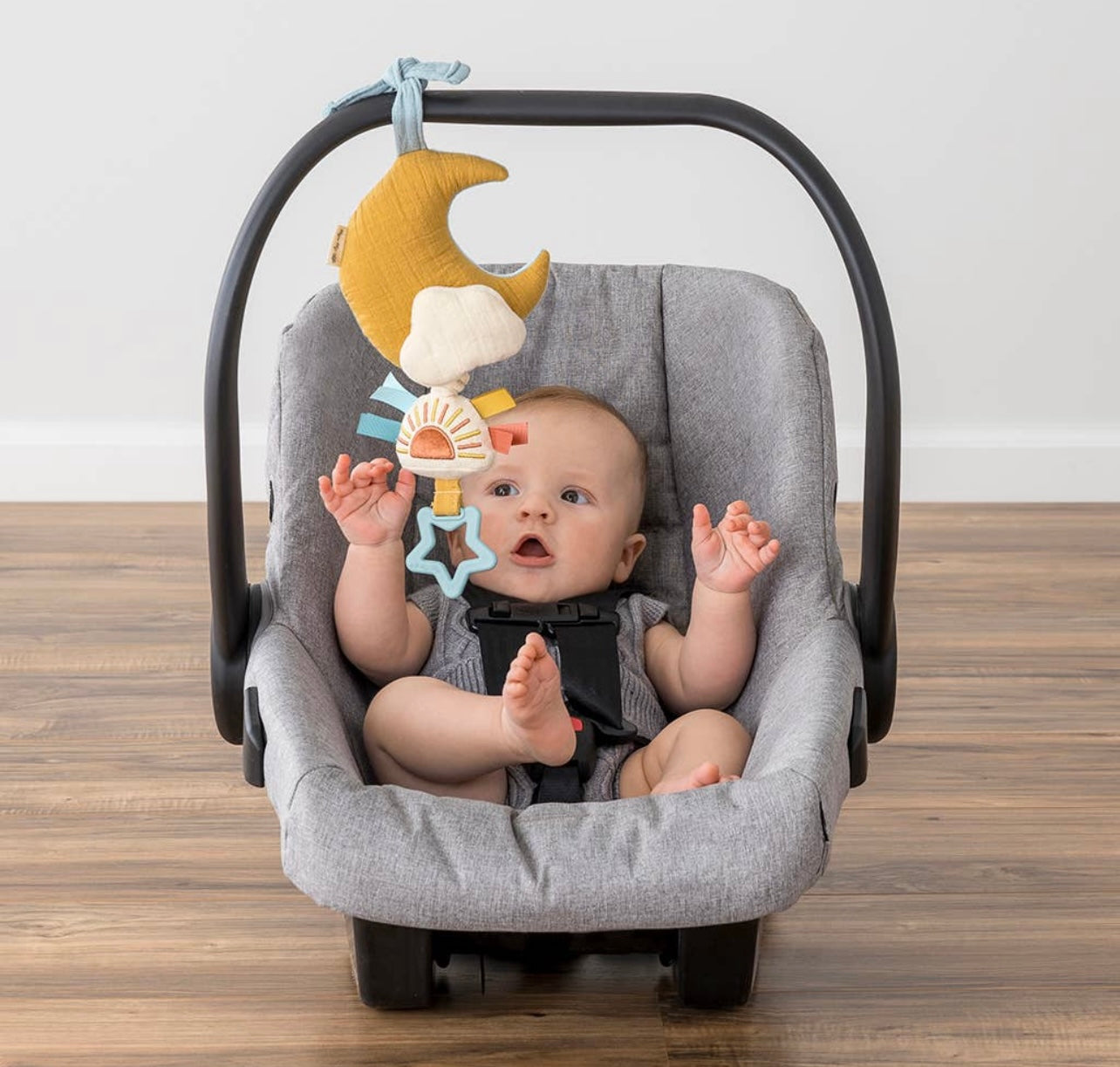 Musical Pull-Down Toy