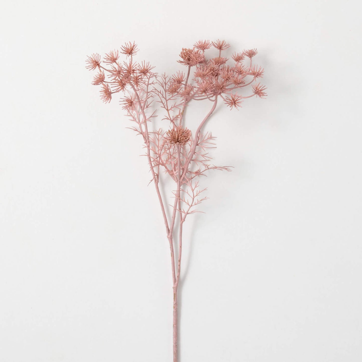 Pink Queen Anne Lace Stem