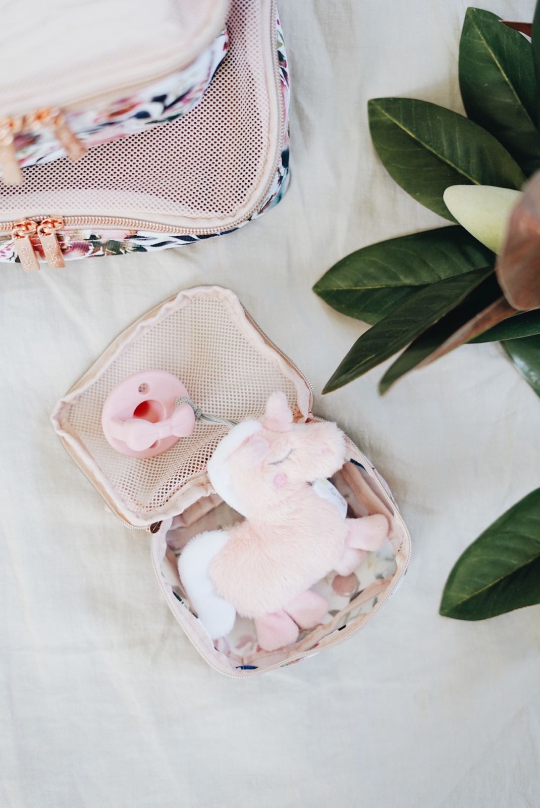 Sweetie Pal Plush and Pacifier